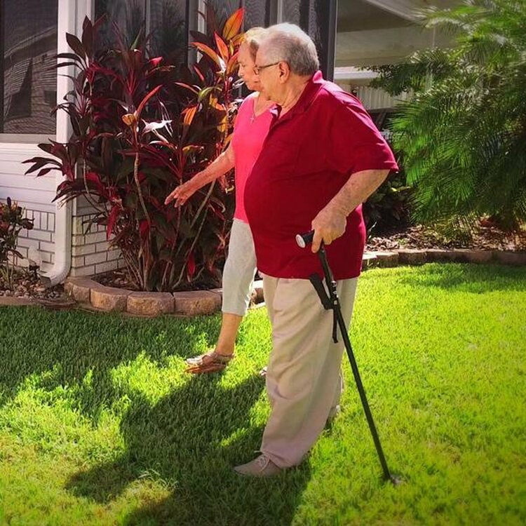 Clever Cane - staat zelfstandig - plooibaar - met extra horizontaal handvat - in hoogte verstelbaar van 86 tot 96 cm - zwart-in